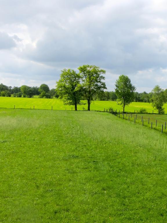 The Black Horse B&B & More Drachten Zimmer foto