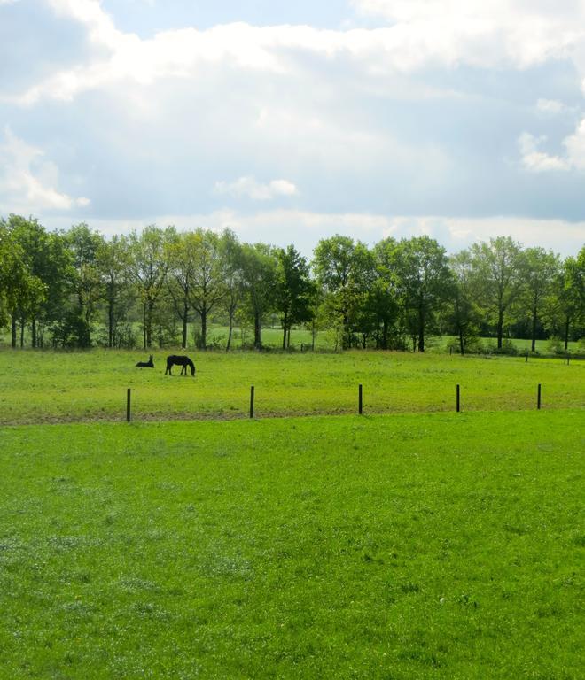 The Black Horse B&B & More Drachten Zimmer foto